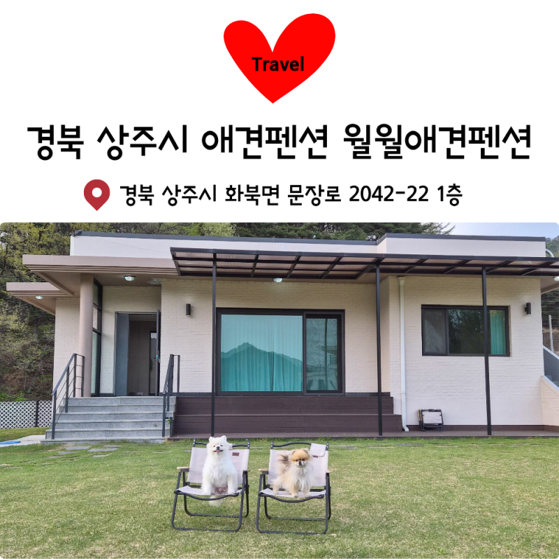 월월애견펜션