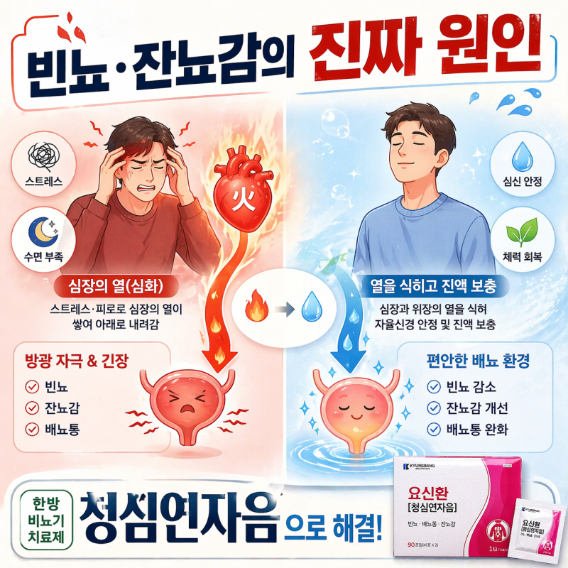 스트레스성 빈뇨·잔뇨감 해결법! 요신환(청심연자음) 효과·성분·복용법 총정리 - 종로백제....