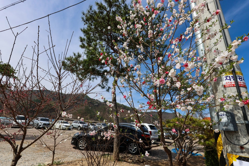 섬마을 사진 6