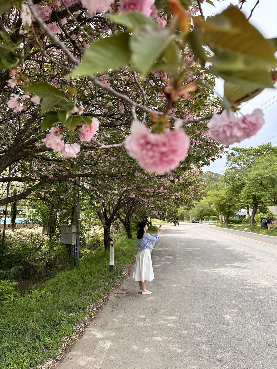 안골 사진 6