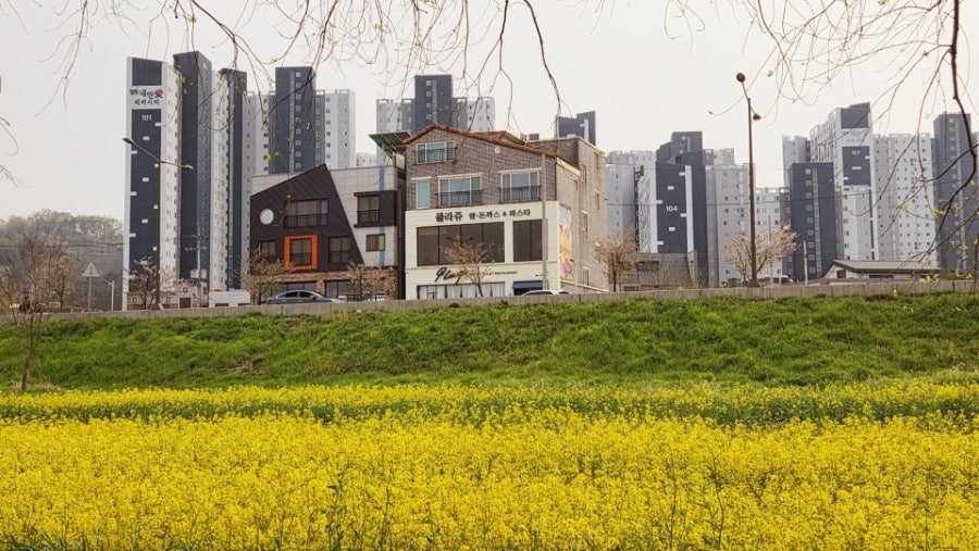 강물위에 쓴 시 사진 6