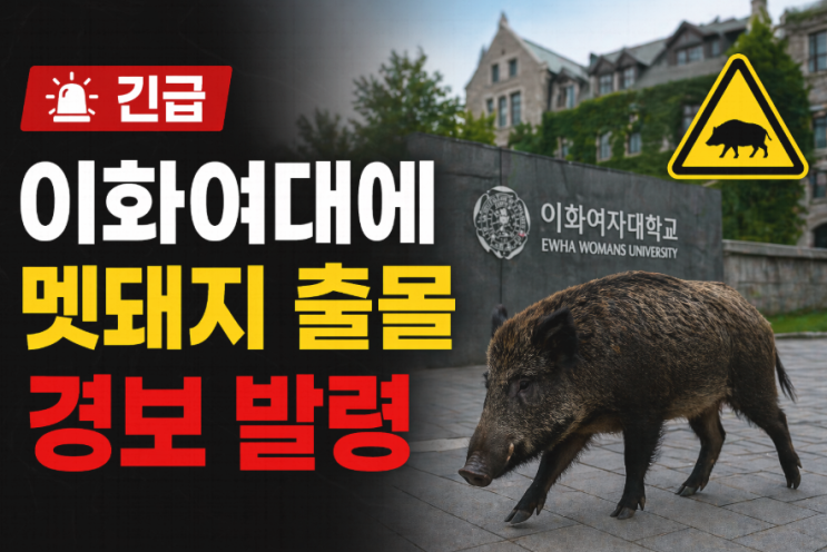  “병원 앞까지 등장” 이화여대 멧돼지 출몰…캠퍼스 비상 걸렸다