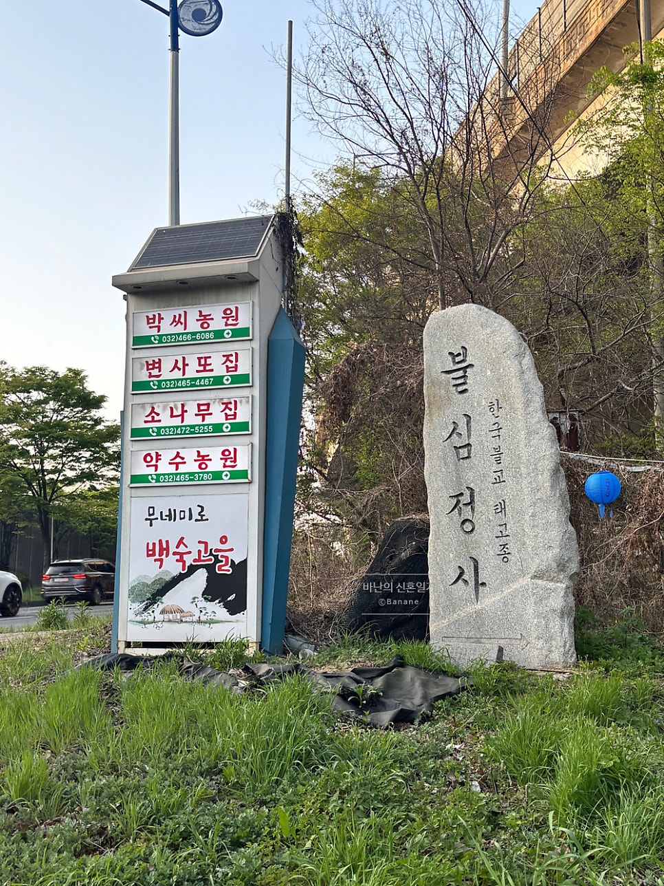약수농원 사진 4