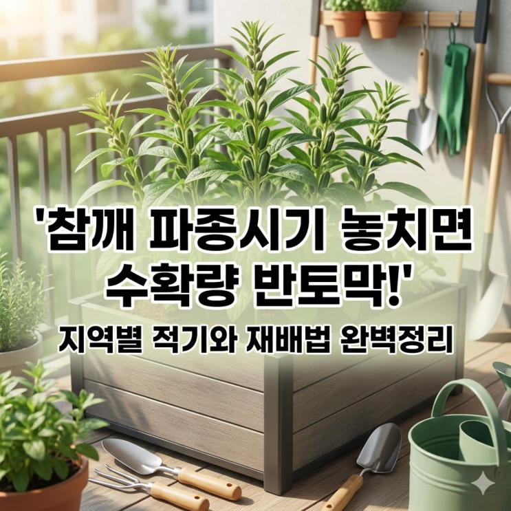  참깨 파종시기 놓치면 수확량 반토막, 지역별 적기와 재배법 완벽정리