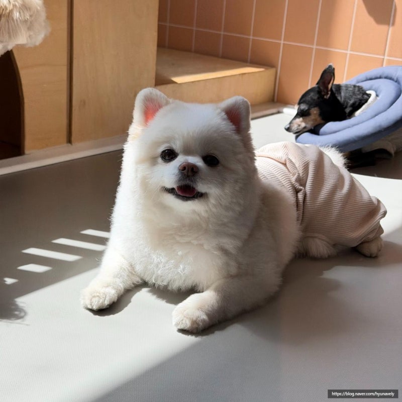 사진 2