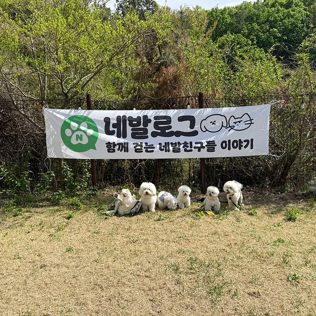 사진 7