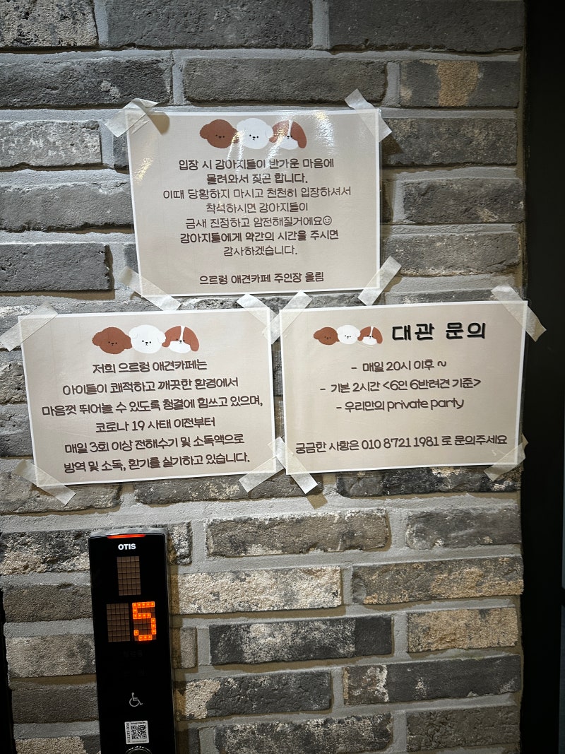 사진 7