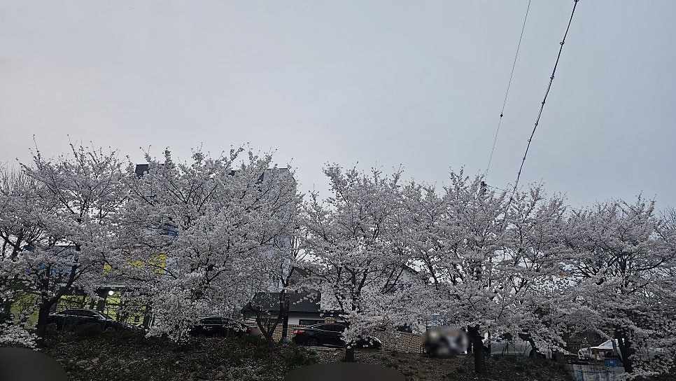 회룡대별장펜션 사진 3