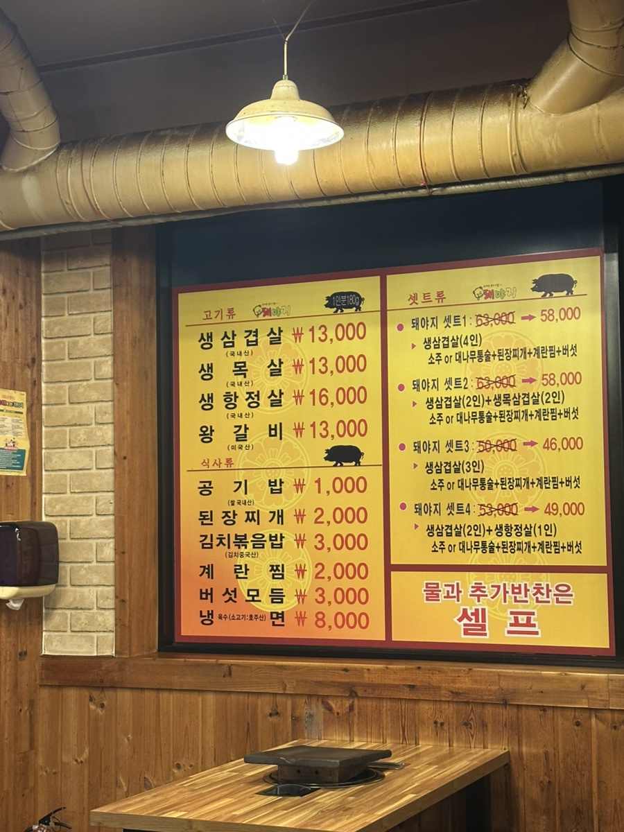 돼야지 사진 2