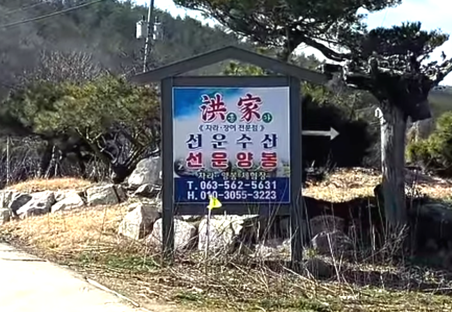 홍가 사진 1