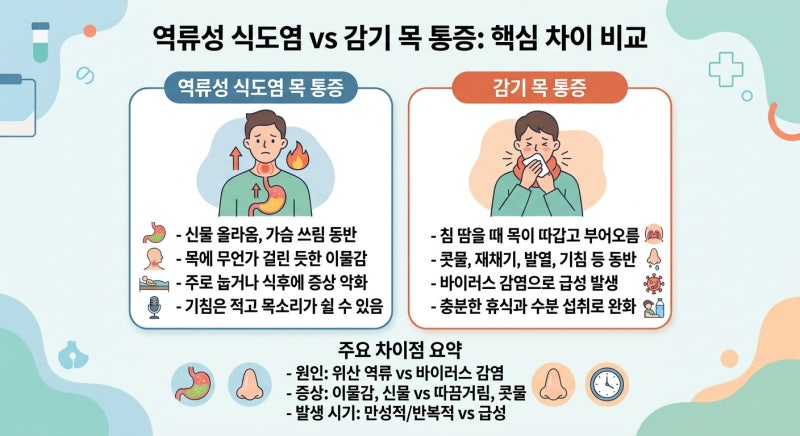 역류성 식도염 증상 목 아픈 것과 감기 차이, 헷갈릴 때 보는 감별 포인트