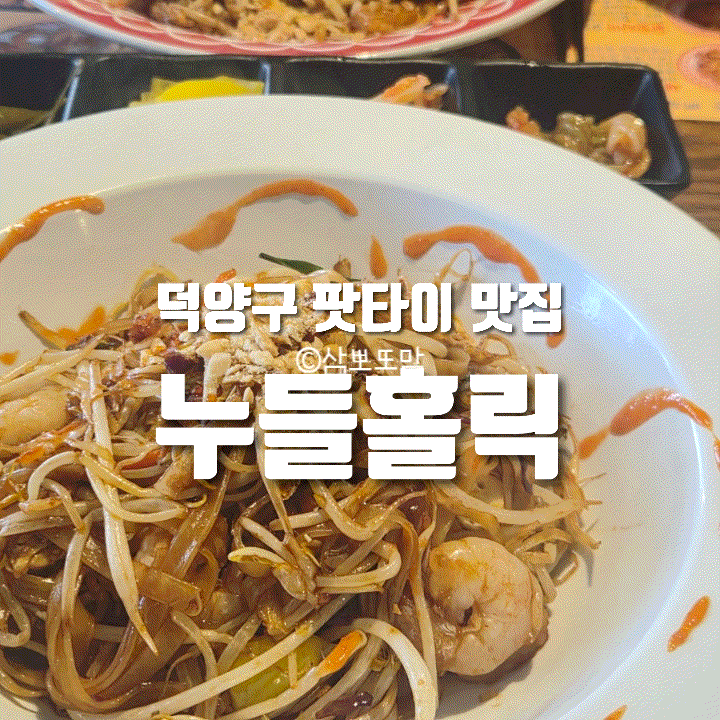  [내돈내산] 고양 덕양구 누들홀릭 후기｜팟타이·나시고랭 맛있었던 맛집