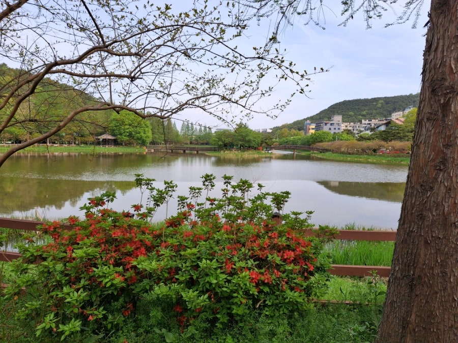 백마산 사진 2