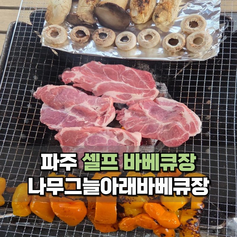파주 나들이 나무그늘아래바베큐장 추천 캠핑장 사이트 후기