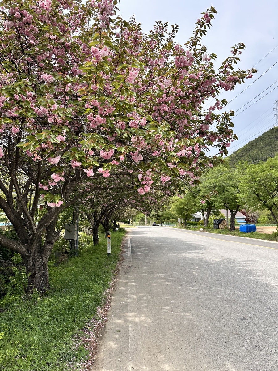 안골 사진 3