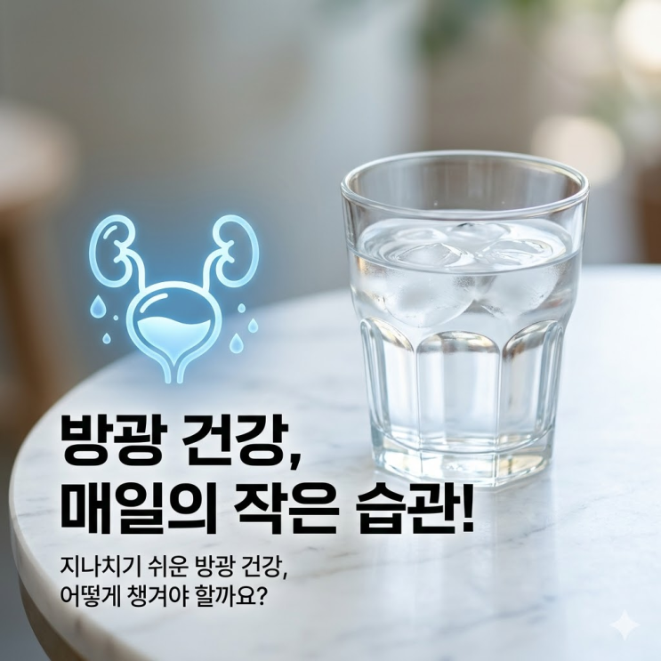  방광염 증상 방치하면 피오줌까지? 약국약 효과와 병원비 꼭 체크하세요
