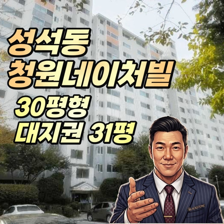  일산 성석동 청원네이처빌 아파트 경매 대지권 31평 전용면적보다 큰 땅 ︎2025타경6161