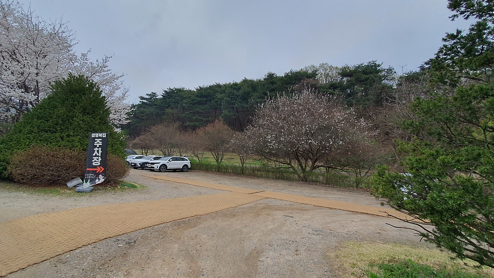 청명복집 사진 2
