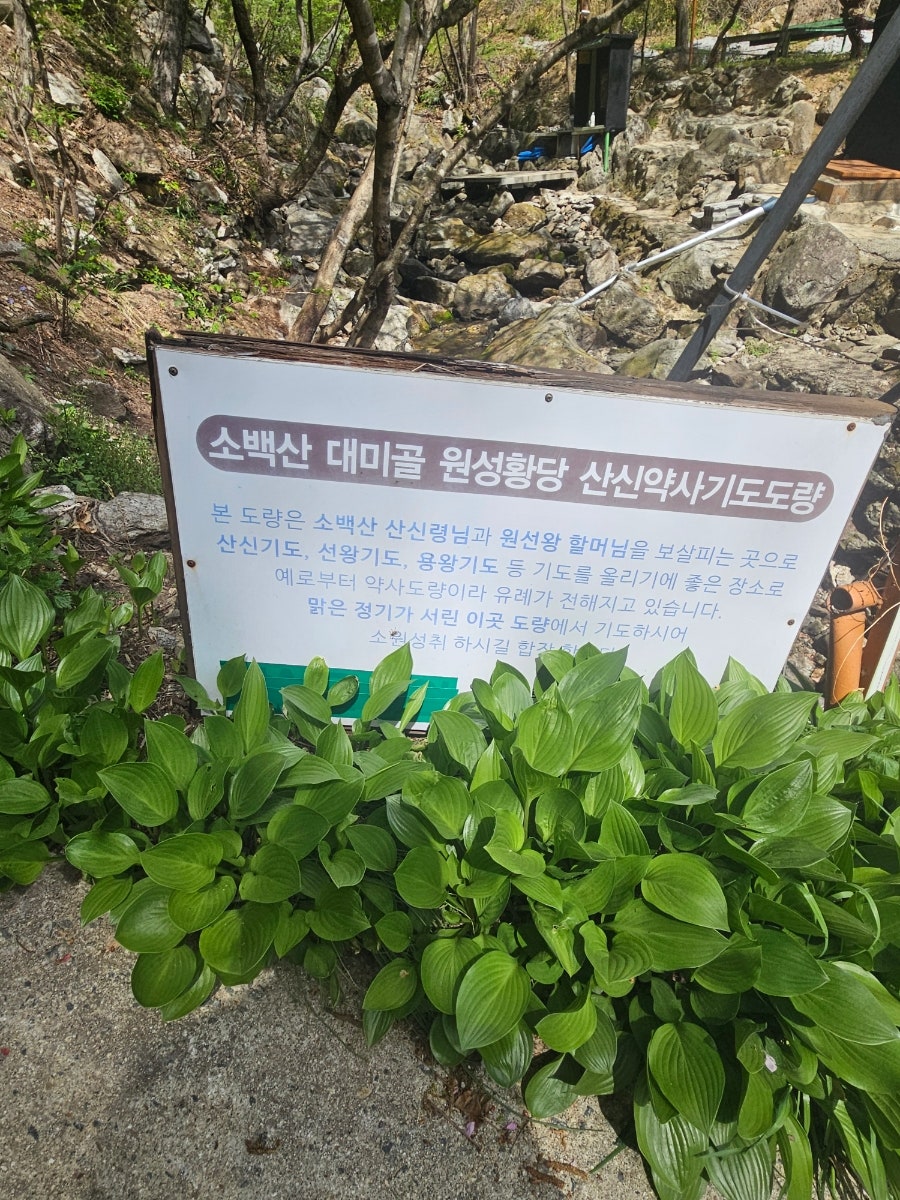 대미골 사진 3