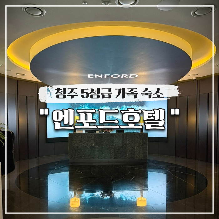  청주 5성급 가족 숙소 엔포드호텔 디럭스 패밀리 트윈 내돈내산