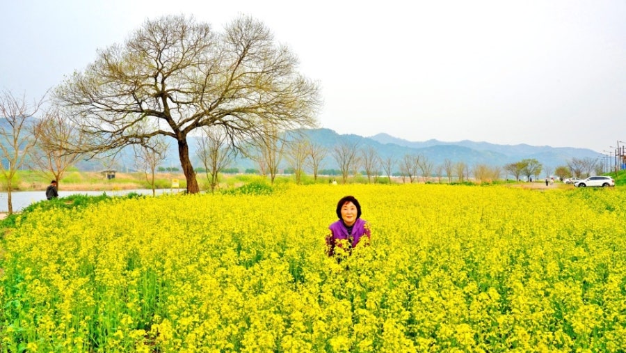 강물위에 쓴 시 사진 2