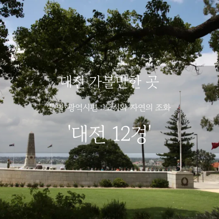  대전 여행 어디까지 가봤니? 대전 가볼만한 곳, 식장산 야경부터 장태산까지 대전 12경 여행 명소 노잼도시는 잊어라