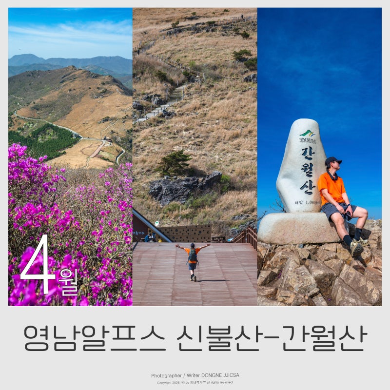 사진 5