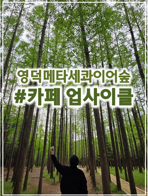 카페업사이클