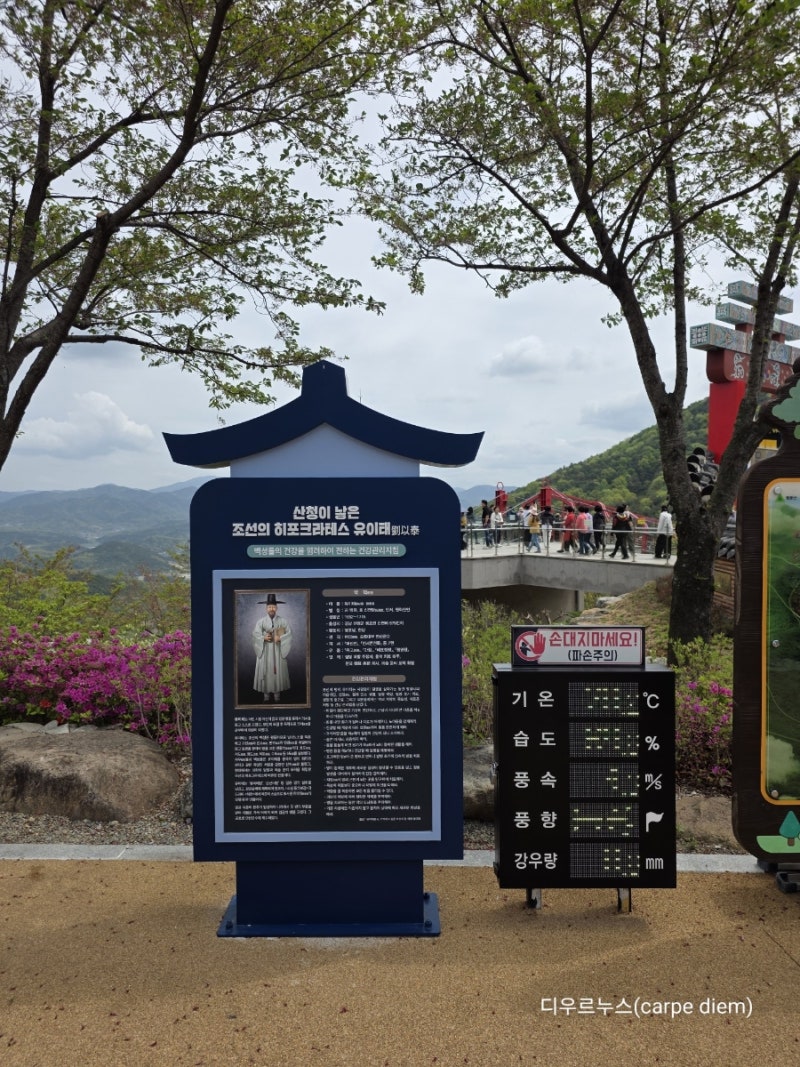 사진 8