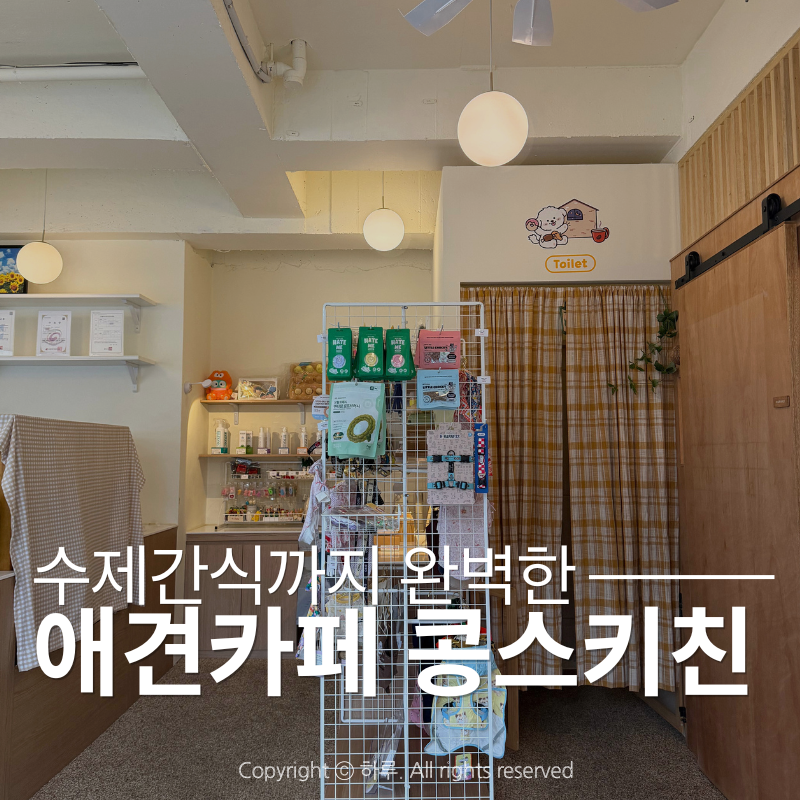 사진 4