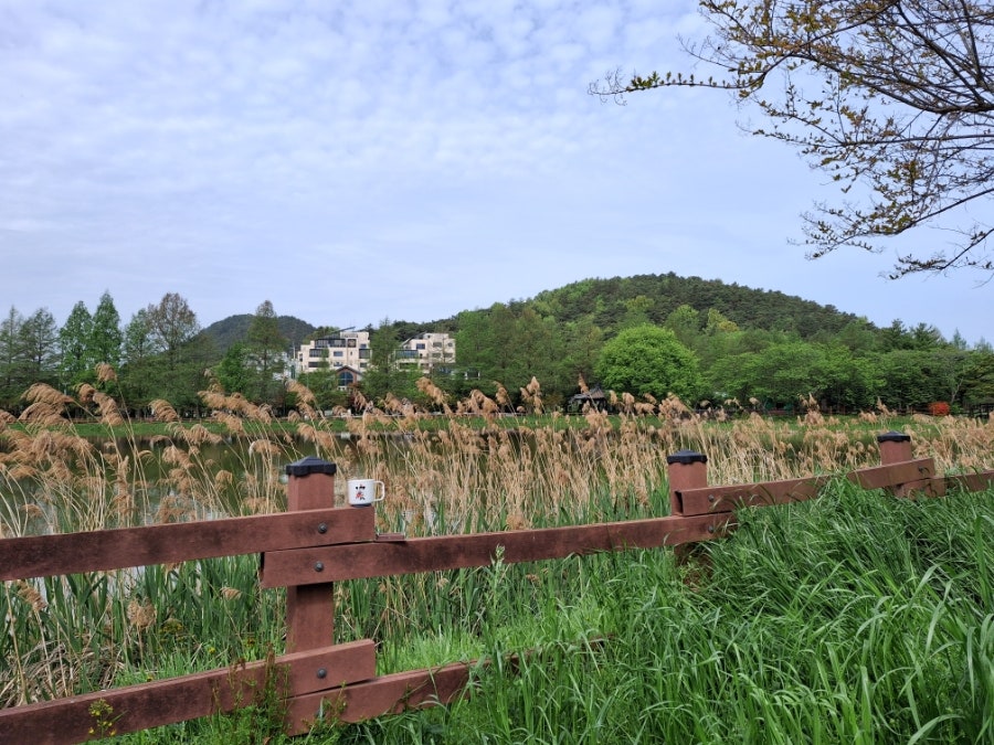 백마산 사진 4