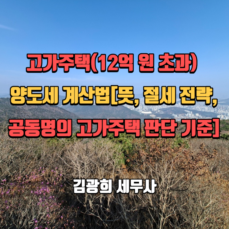  고가주택(12억 원 초과) 양도세 계산법[뜻, 절세 전략, 공동명의 고가주택 판단 기준]