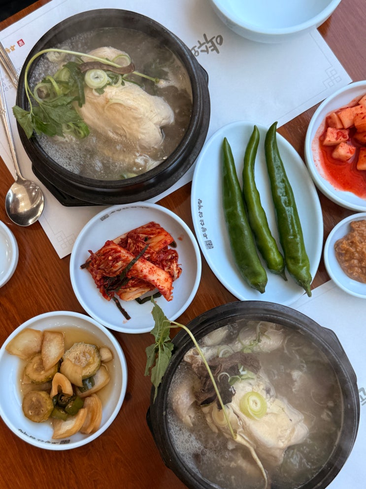  퍽퍽함 1도 없는 구미 삼계탕 맛집, 아이랑 능이버섯 주왕산삼계탕 본점