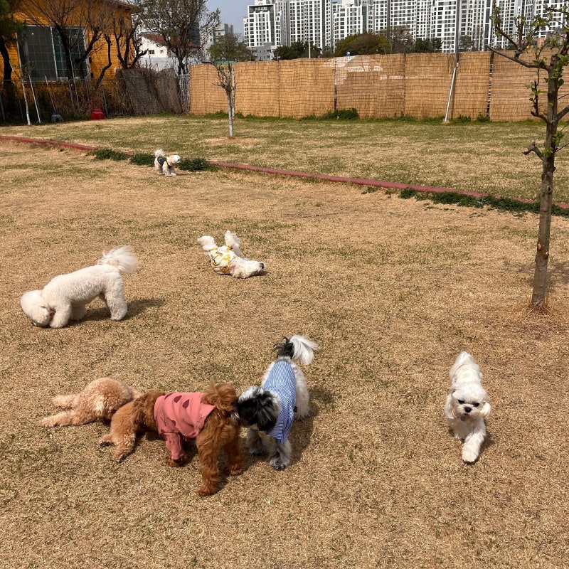사진 3