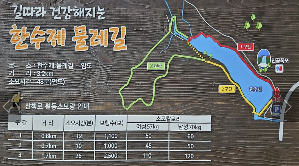거북이 사진 2