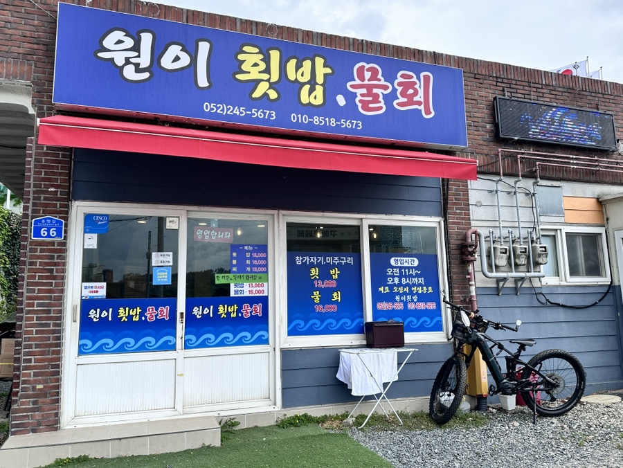 원이횟밥물회 사진 1