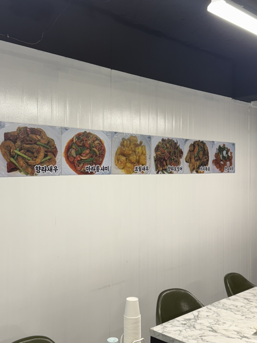 매화반점 사진 3