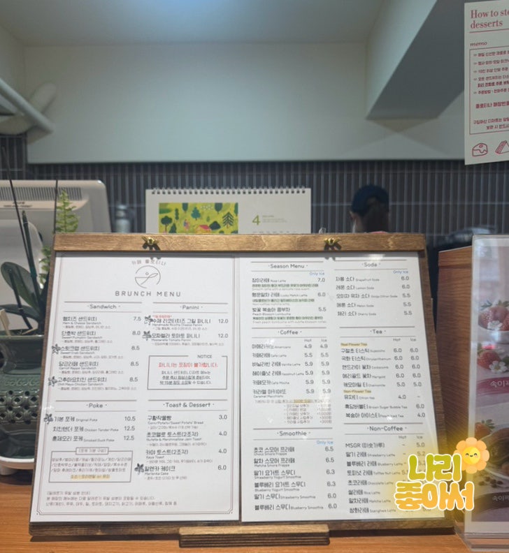 플로티나 사진 2