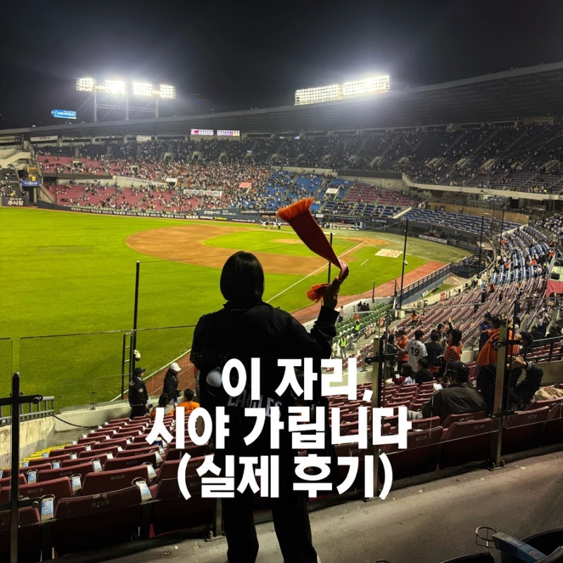 잠실야구장 3루 네이비석 334블록 3열 55번 시야 후기 (시야방해석 솔직 리뷰)