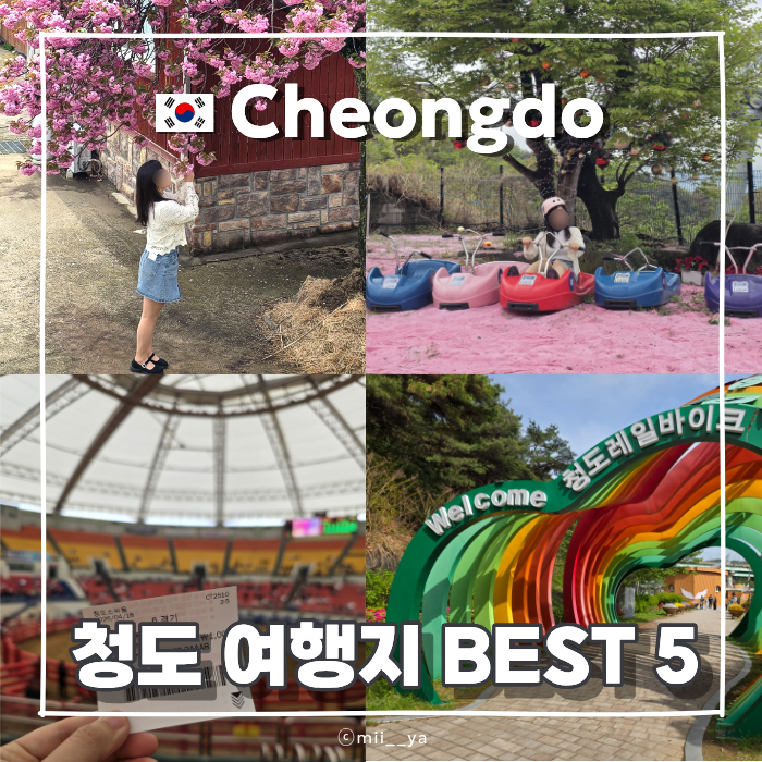 대구 근교 아이와 가볼만한곳 경북 청도 여행지 BEST 5