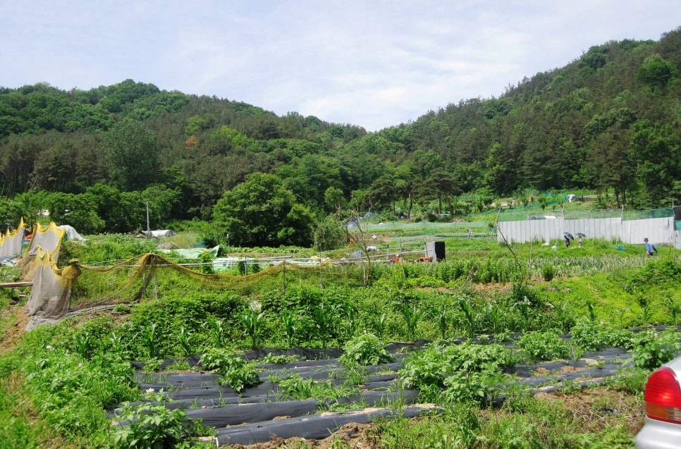 도장골 사진 4