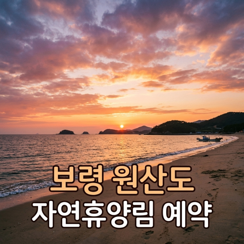 [2026 신규개장] 보령 원산도 자연휴양림 예약 방법 및 숲나들e 명당 꿀팁