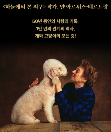 사진 4