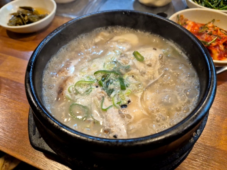  광화문 감나무집 삼계탕 맛집