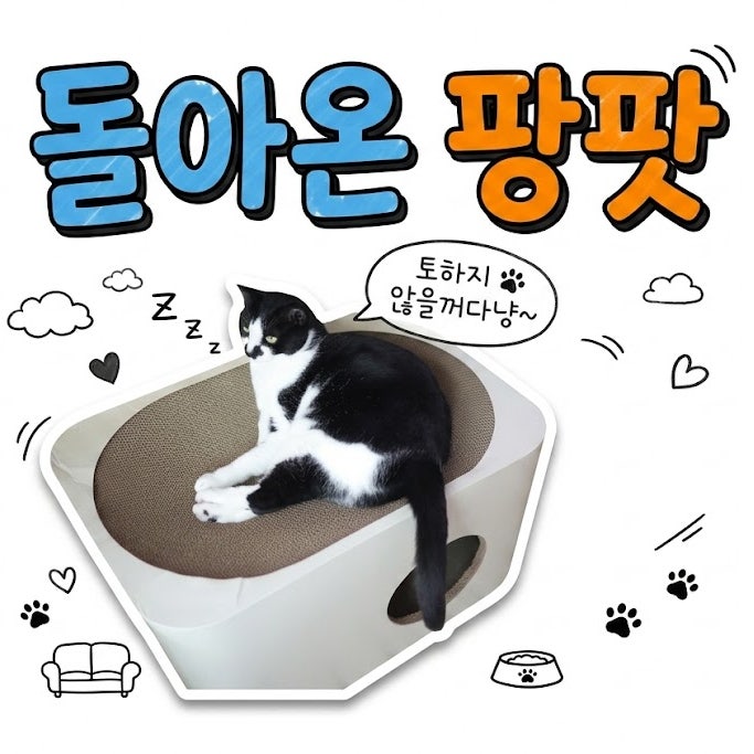  대형 고양이 스크래쳐 추천, 팡팟 미우하우스가 필수템인 이유