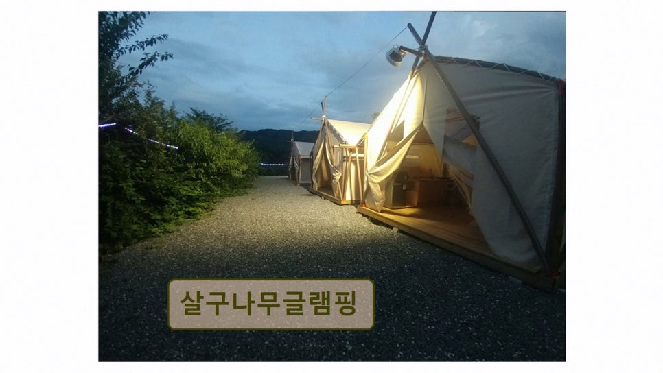 살구나무글램핑 사진 3
