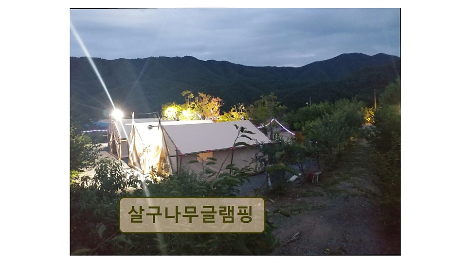살구나무글램핑 사진 5