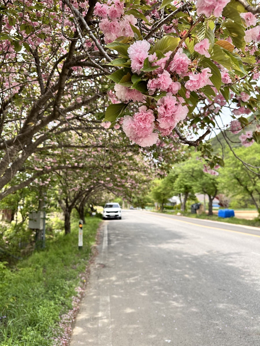 안골 사진 2