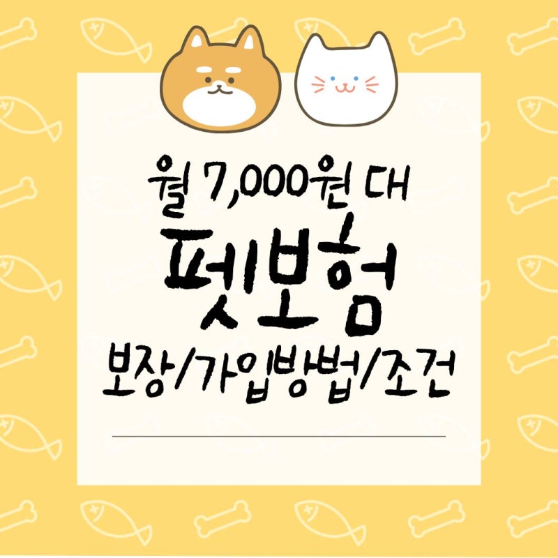 강형욱 펫보험 추천 | 카카오페이 펫보험 | 보장 비교 가입방법 총정리