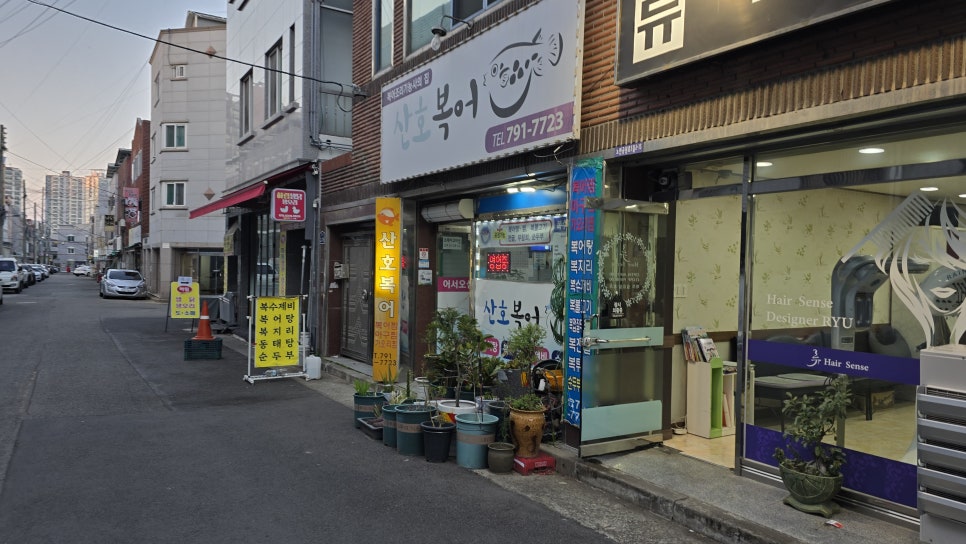산호복어 사진 1